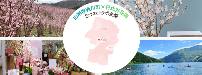 2026春山形県ツアー_ハナノヒ  (800 x 300 px) (1)